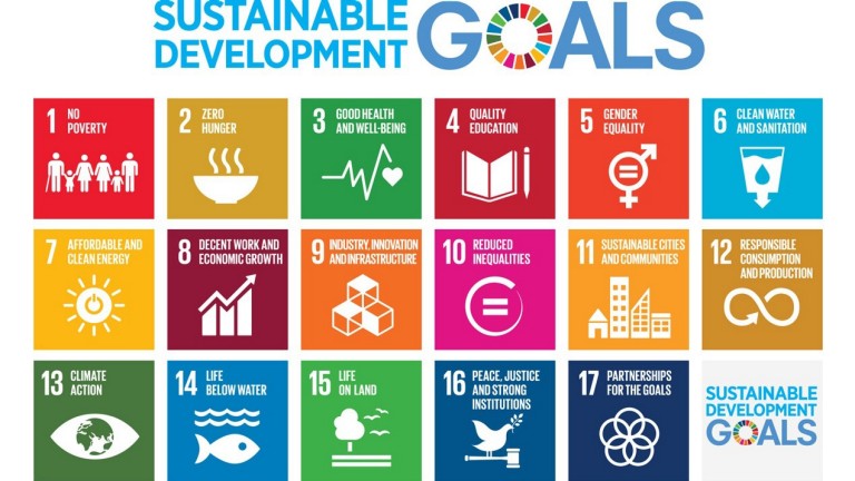 Sustainable Development Goals