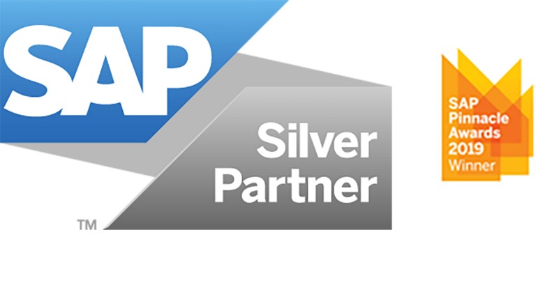 sap silver partner