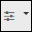 Options de rapports