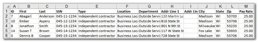  Excel spreadsheet with columns A to M as follows: ID, First, Last, SSN, Type, Location, Department, Addr Line 1, Address Line2, City, State, Zip, and Pay Rate.