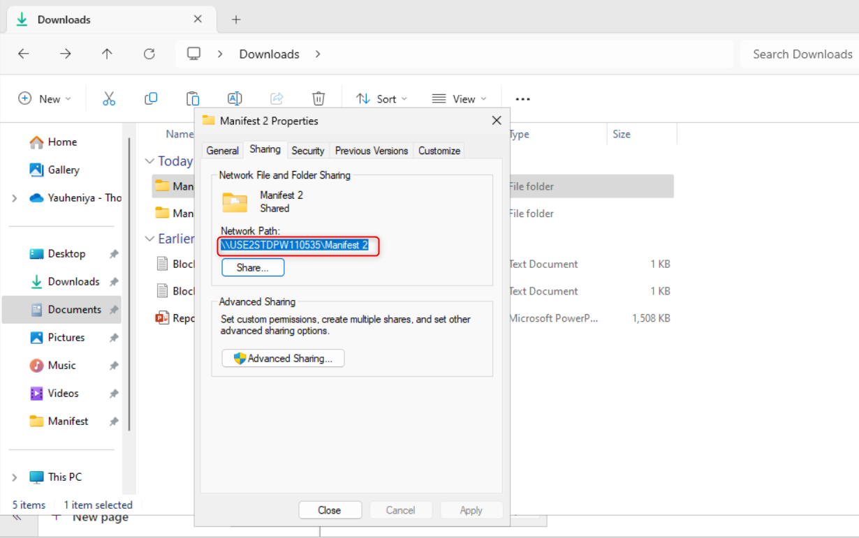 Network path in the sharing tab.