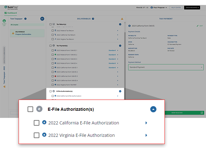 E-File Authorizations in the DELIVERABLES panel.