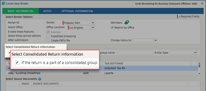 Select Consolidated Return Information section.