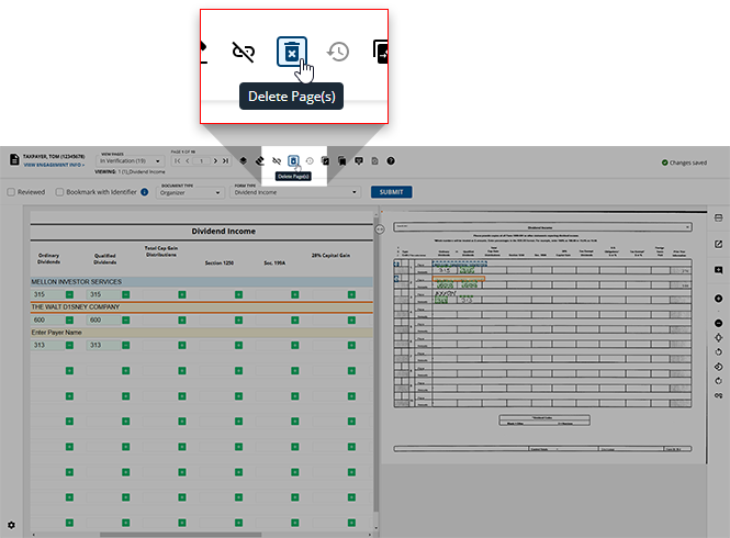 Select the Delete Pages icon