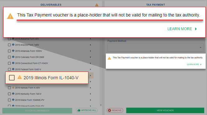Notification that the tax payment voucher is a placeholder.
