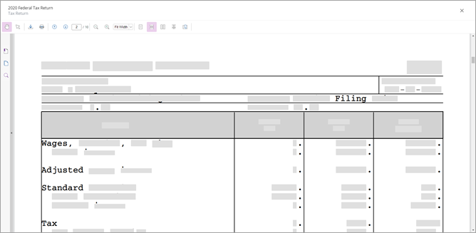 Tax return document in the Document Viewer panel.