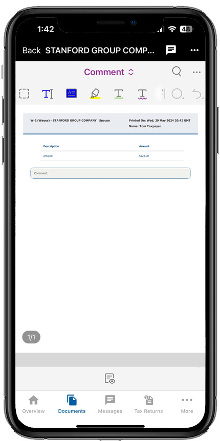Document containing the Description, Amount and Comments of the payment