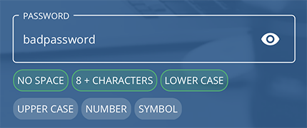 Insufficient password