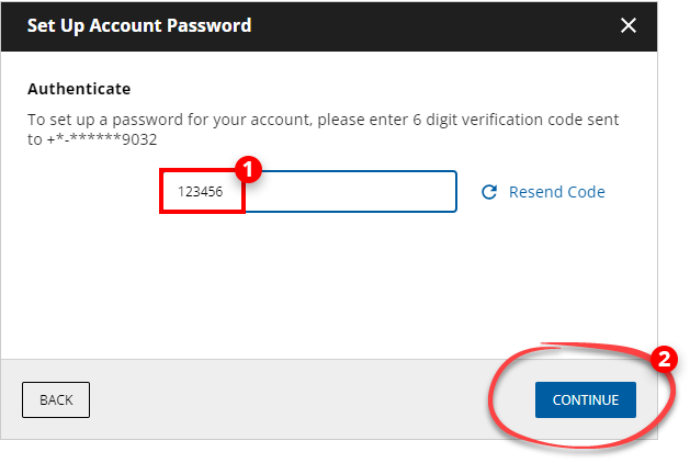 Enter the code then select CONTINUE
