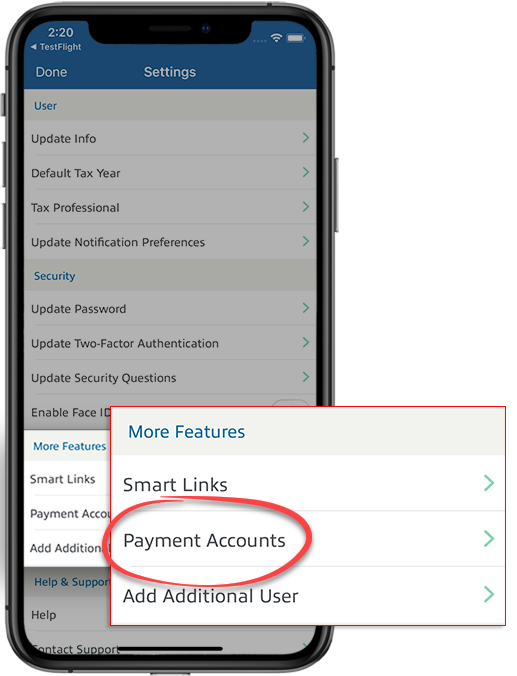 Payment Accounts section of the iOS settings