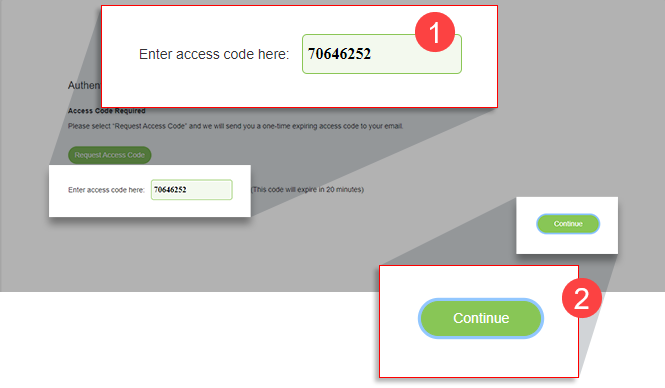 Enter the access code then select Continue