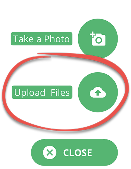 Select Upload Files