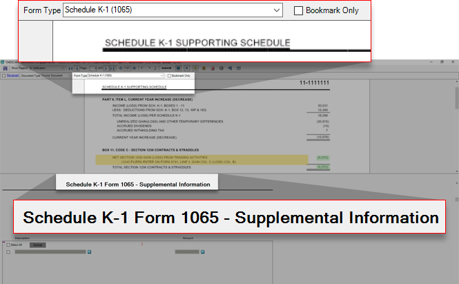 Schedule K-1 - Supplemental Information