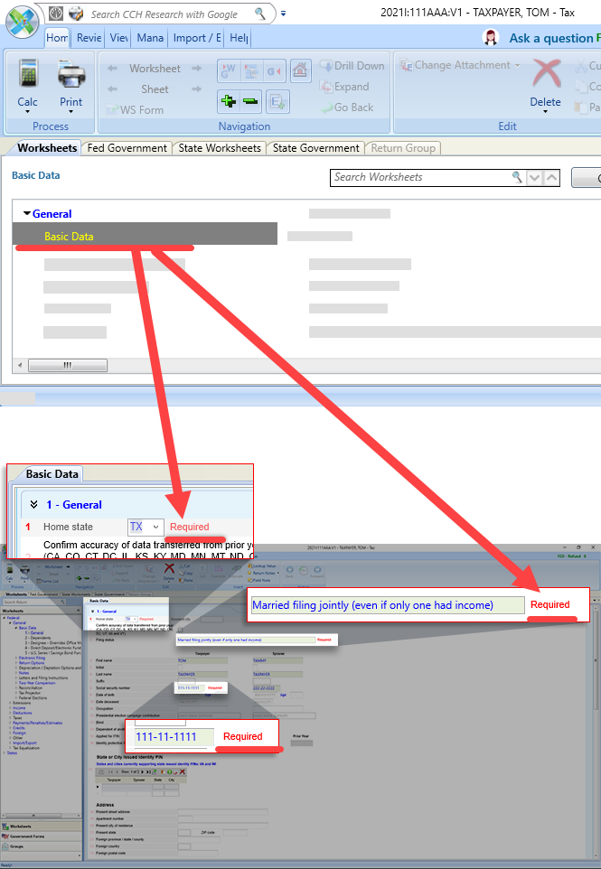 Review the data in the Basic Data tab