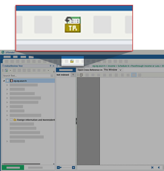 Select the Import TR icon
