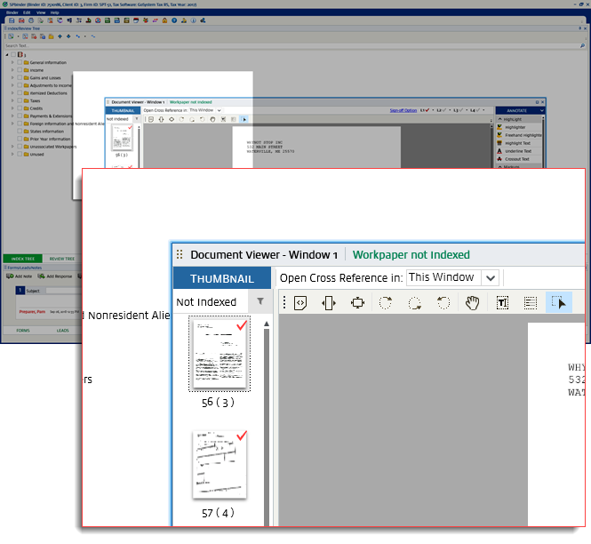 Document Viewer window