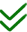 Green double checkmark