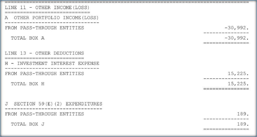 Schedule K-1 Other Income, Deductions, and Expenditures
