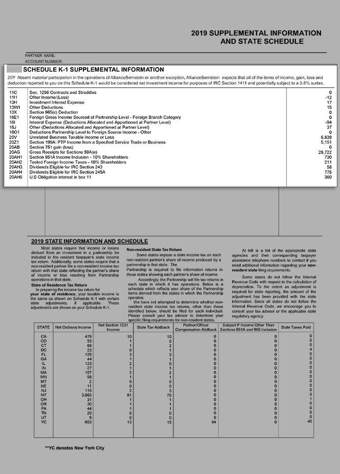 Schedule K-1 Supplemental Information