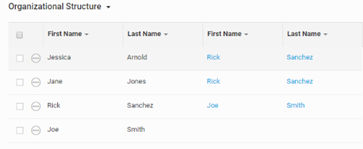 Screenshot of Organisational Structure without the Display column name prefix.