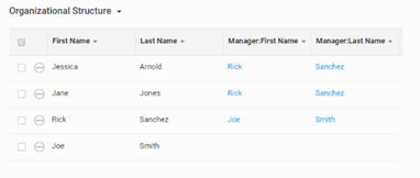 Screenshot of Organisational Structure with Display column name prefix enabled.