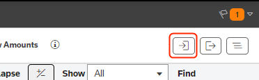 import icon