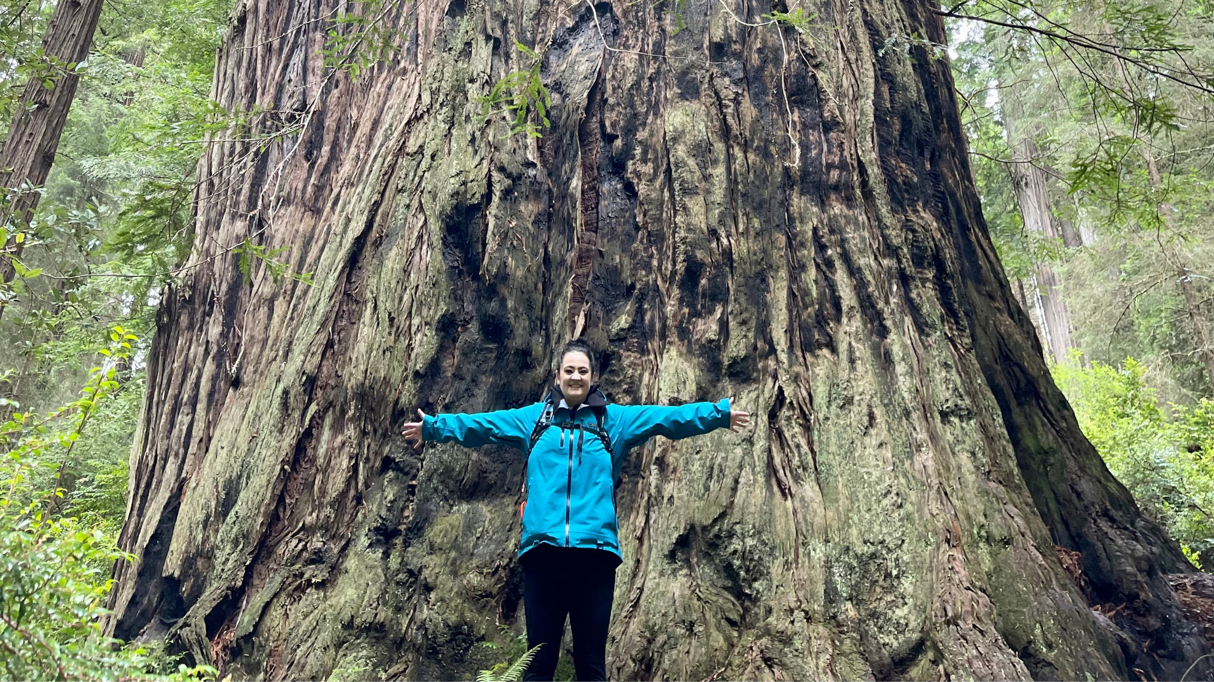 Nikki standing with her arms wide open in front of a large tree in the Redwood Forest