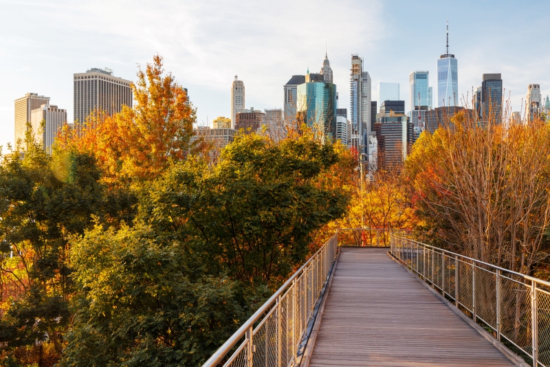 The 2026 imperative: Tax professionals must transform their operations